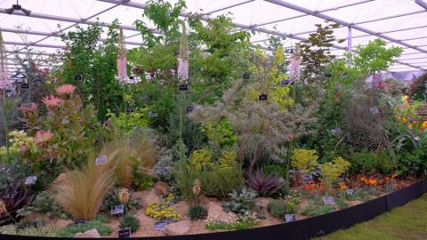 RHS Chelsea