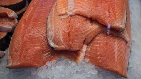Salmon fillets stacked on ice.