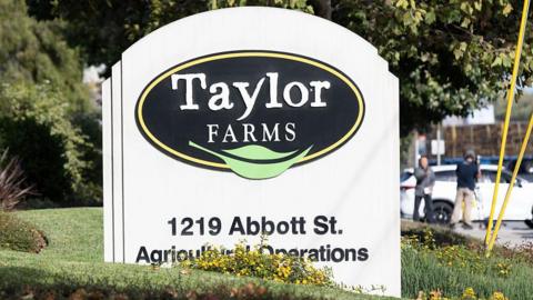 A curved white sign with a black sideways oval on it containing the words Taylor Farms in white with a green leaf below. The sign is on a mown grass lawn with trees in the background and with a white car parked to the side.