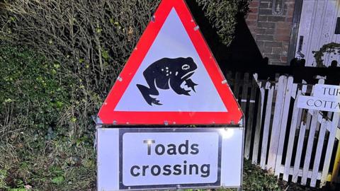 A sign by a hedge and white fence which has a picture of a toad and the words 'Toads Crossing' underneath