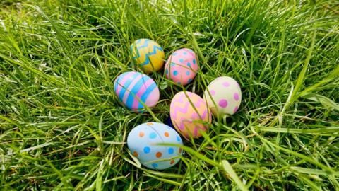 Colourful Easter eggs sitting in long green grass.