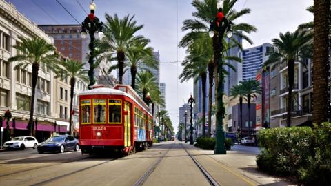 A red tram in New Orleans' French Quarter, with palm trees lining both sides of the road