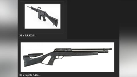 Black and white images of two rifles