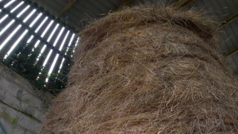 An upright circular hay bale in a barn