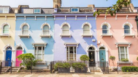A row of terraced houses painted, left to right, yellow, blue, purple and pink, with fences and shrubs in front.