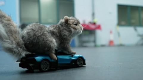 A toy squirrel sits on top of a remote control car, on the floor of a training room
