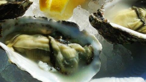 A picture of an oyster on a bed of ice. Its shell is white and brown in colour.