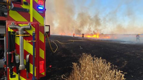 A large field is on fire. Parts of the field, which was growing wheat, has been burnt. There is a fire engine on the left, and a yellow hose is leading to the blaze on the right where several firefighters are standing.
