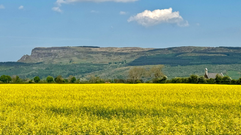 Field in Limavady, with hill in the background and blue sky with cloud.