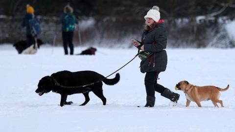 A woman walks dogs in heavy snow in Stonehaven, Scotland