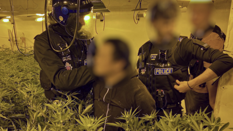 Cannabis plants surrounded by two police officers and a man. Everyone has had their faces blurred out. One officer is wearing a helmet and the man is wearing a grey hoodie.