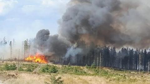 The image shows a fierce yellow and orange fire igniting trees on Langdale Moor in the North York Moors National Park. Thick grey smoke is pouring upwards from the blaze, partially obscuring much of the trees and blue sky above. In the foreground are some burned trunks which are all that remain of trees that have burned. There is also grass in the foreground.