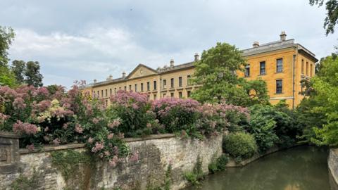 A yellow stone building with trees and pink flowers next to a river. 