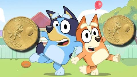 bluey and the coins