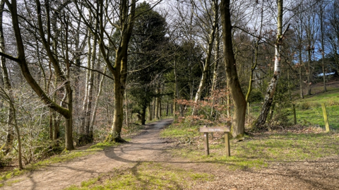 A general view of Witton Country Park, showing an avenue of trees around a walkway, with a wooden sign to the right.