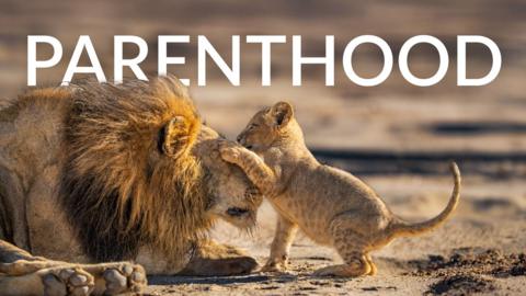 Parenthood