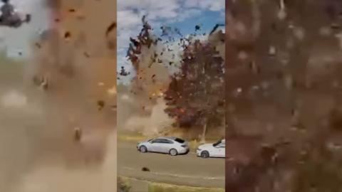 Debris flying through the air mid-explosion, on a tree-lined street with parked cars.