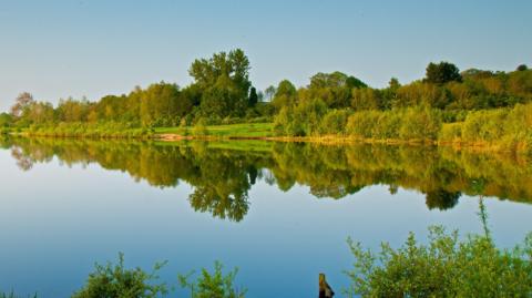 Trees and bushes are reflected in still water at Testwood Lakes on a sunny day.