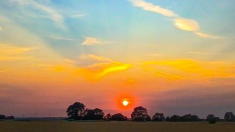 The Sun rises over some trees as an white ball in an orange, purple, yellow and blue sky
