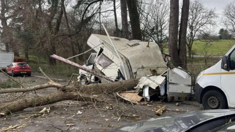 A white camper van with dirty roof is completely crushed by a tree next on a road next to a park.