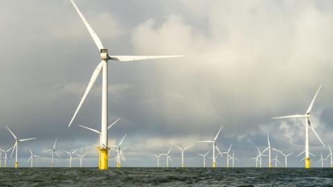 A large offshore wind farm with white turbines and yellow bases, under a cloudy sky.