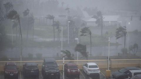 Trees are blown in strong wind and rain behind a full car park