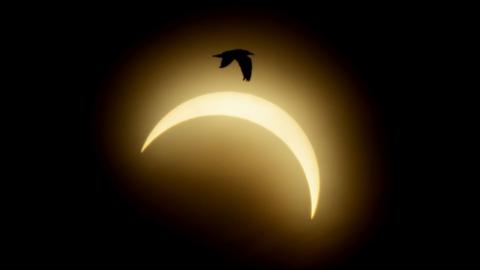 The partial solar eclipse is seen at the Mariager Fjord in Denmark, on August 12, 2026.