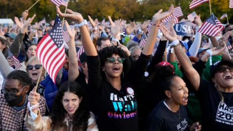 A crowd of supporters for Harris cheer and wave flags in Washington DC