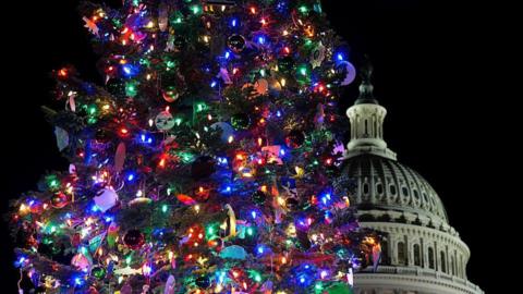 U.S. Capitol Christmas Tree in Washington.