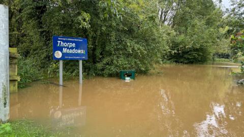 Flood water surrounded by bushes and trees in Thorpe Meadows. The water is covering part of a green rubbish bin.