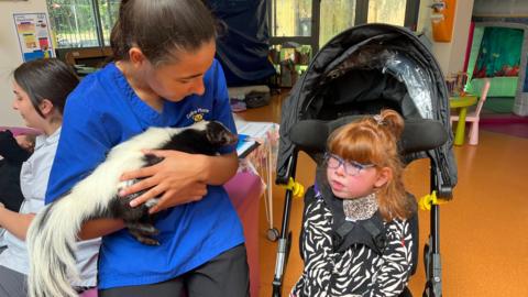 A young girl with ginger hair sits in a pram and grins. She has blue glasses and a Zebra print top on. She is looking at a skunk, which is being held up to her by a nurse in blue scrubs.
