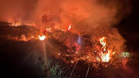 A view of a wildfire at night on Dartmoor. Burning gorse is giving off several sets of flames and smoke.