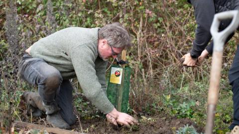 A man kneeling on a patch of mud and pushing a sapling into the ground. He is looking at the tree and wearing a green jumper, muddy jeans and black wellington boots. The tree has a green metal cage around it and a square label. In the foreground to the right of the photo is the top of a spade and the hands of a second person. In the background is a thicket of brambles. 