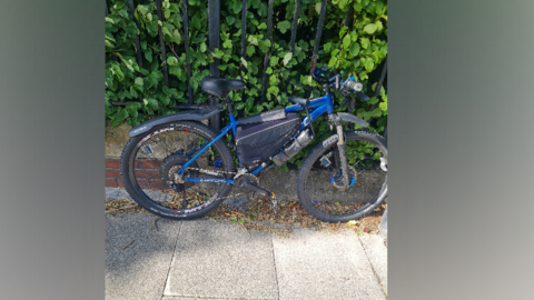 A black and blue bike leans against black metal railings on a path, bushes are poking through the railings.