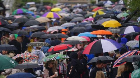 Rain at the RHS Chelsea Flower Show