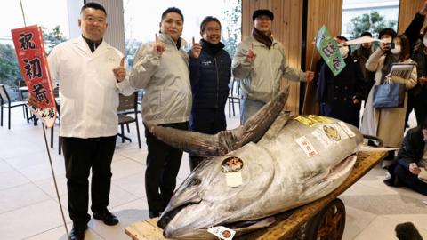 The huge 276g bluefin tuna is displayed on a wooden trailer after the first tuna auction of the New Year at Toyosu Market, in Tokyo