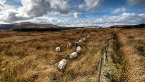 Ballybofey, County Donegal