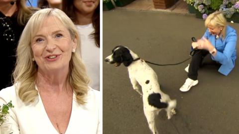 Composite image showing Carol Kirkwood on the left with Kirkwoodsaying an emotional goodbye on Breakfast show on Wednesday, with a dog on a leash and her sitting holding the leash on the right of the composite image.