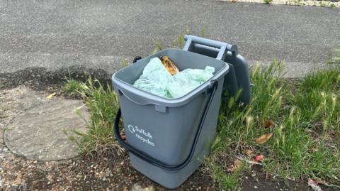 A grey food waste caddy bin which is full of rotting food on the grass next to a pavement. 