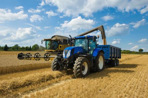 A large blue tractor pulls a blue trailer, which is being filled with grain being cut by a yellow combine harvester. It is a sunny day and there are fluffy clouds in the blue sky.