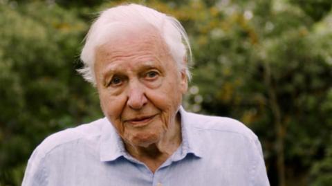 A screenshot of the video with David Attenborough looking into the camera with a furrowed brow and pursed lips. He has white, short hair and is wearing a light blue shirt with short sleeves. He is standing outside in front of some trees and bushes.
