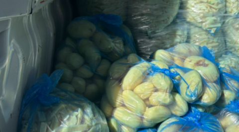 Potatoes are visible in blue bags in the foreground and more than half a dozen bags are in the background.