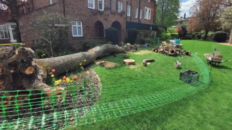 A fallen tree in the grounds of the Panacea Museum, Bedford