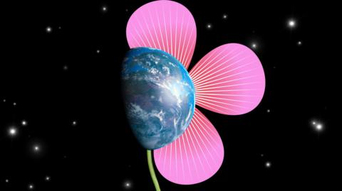 Ancient earth at the centre of flower petals. 