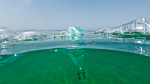Plastic bottles floating in the sea.
