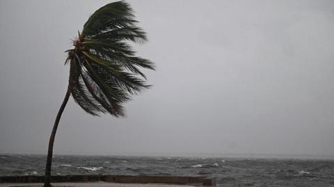 A coconut tree sways in the wind at the Kingston Waterfront on Ocean Boulevard in Kingston, Jamaica, as Jamaica starts to feel the effects of Hurricane Melissa on October 26, 2025.