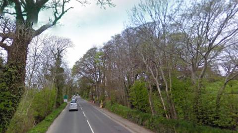 The Road, which runs from Douglas to Peel, near Ballacraine. There are  trees lining both sides of the road.