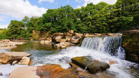 Water cascades over rocks in the River Swale. To the right a small water falls flows into the river below. The river is dotted with large, flat rocks. The far bank of the river is lined with trees.