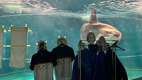 A sunfish in an aquarium tank. In front of it are uniforms dangling on clothes hangers, with photos of human faces pasted onto the tank.