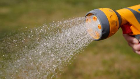 Close up image of a hand holding a hosepipe as water sprays out from the top of the pipe.  A dry lawn is in the background.